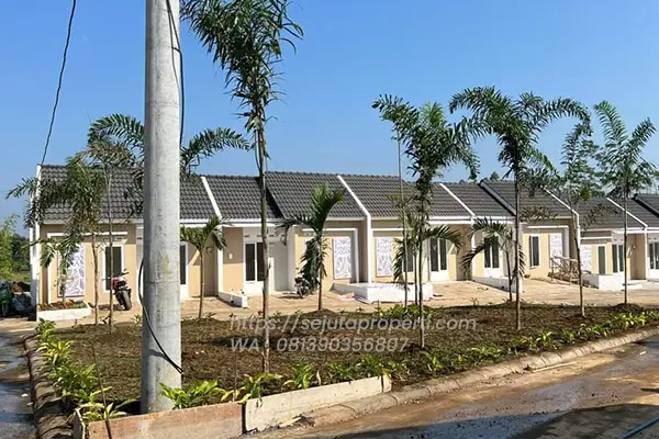 Andara Green Palm 2